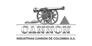 Cannon